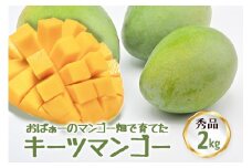 【 先行予約 2025年 発送 】 おばぁーのマンゴー畑で育てた キーツマンゴー (秀品) 沖縄県産 マンゴー 2kg マンゴー 国産 果物 南国 くだもの フルーツ 夏 旬 特産品 沖縄 お取り寄せ 名産品 お土産 甘い 濃厚 糸満市 贈答用 幻のマンゴー 