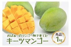 【先行予約 2025年 発送】おばぁーのマンゴー畑で育てた マンゴー 秀品 沖縄県産 マンゴー 1kg キーツマンゴー 国産 果物 南国 くだもの フルーツ 夏 旬 特産品 沖縄 お取り寄せ 名産品 お土産 甘い 濃厚 贈答用 緑色 緑 幻のマンゴー 糸満市 