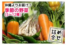 沖縄よりお届け！季節の野菜詰め合わせ（5～12種類）