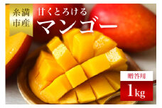 【 先行予約 2025年 発送 】 かねよしマンゴーの甘くとろける マンゴー 1kg ( 贈答用 ) 沖縄県産 アップルマンゴー アーウィンマンゴー 1キロ 国産 果物 くだもの フルーツ 完熟 沖縄 お取り寄せ ギフト 贈答品 贈り物 産地直送 農家直送 糸満市 