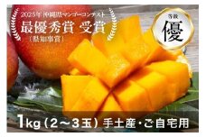 【 先行予約 2025年 発送 】コーラルファーム アップルマンゴー 1kg (2～3玉) 優品 沖縄県産 マンゴー アーウィンマンゴー 1キロ 国産 完熟マンゴー 果物 くだもの フルーツ 完熟 夏 沖縄 お取り寄せ ギフト 産地直送 農家直送 糸満市 