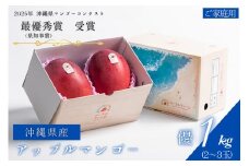 【 先行予約 2026年 発送 】コーラルファーム アップルマンゴー 1kg (2～3玉) 優品 沖縄県産 マンゴー アーウィンマンゴー 1キロ 国産 完熟マンゴー 果物 くだもの フルーツ 完熟 夏 沖縄 お取り寄せ ギフト 産地直送 農家直送 糸満市 