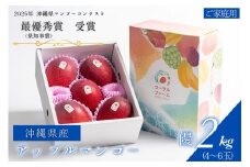 【 先行予約 2026年 発送 】コーラルファーム アップルマンゴー 2kg (4～6玉) 優品 沖縄県産 マンゴー アーウィンマンゴー 2キロ 国産 完熟マンゴー 果物 くだもの フルーツ 完熟 夏 沖縄 お取り寄せ ギフト 産地直送 農家直送 糸満市 