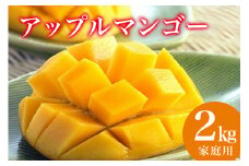 【 先行予約 2025年 発送 】 縁sファームの アップルマンゴー 家庭用 2kg 沖縄県産 マンゴー アーウィンマンゴー 2キロ 国産 完熟マンゴー 果物 南国 くだもの フルーツ 完熟 夏 旬 特産品 沖縄 お取り寄せ 産地直送 農家直送 甘い 濃厚 糸満市 