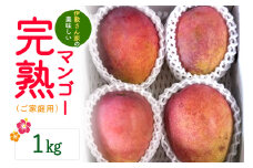【 先行予約 2025年 発送 】 伊敷さん家の美味しい 完熟マンゴー 1kg ( ご家庭用 ) 沖縄県産 マンゴー アップルマンゴー アーウィンマンゴー 1キロ 国産 果物 くだもの フルーツ 完熟 夏 旬 沖縄 お取り寄せ 産地直送 農家直送 甘い 濃厚 糸満市 