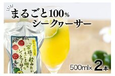 家族で飲みたいまるごと 100% シークヮーサー 500ml ×2本 (パウチタイプ) シークワーサー ジュース 果汁 ストレート 原液 常温保存 シークヮーサージュース シークワーサージュース 沖縄県産 沖縄 果実 まるごと絞り フルーツ 果物 沖縄県 糸満市 