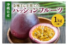 【2024年発送】金城さんが育てた　沖縄県産パッションフルーツ　1kg