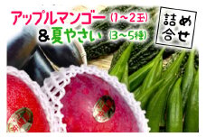 【 先行予約 2025年 発送 】 沖縄産 アップルマンゴー (1～2玉)& 夏野菜 (3～5種) 詰め合わせ 沖縄 野菜 フルーツ 果物 詰合せ セット お任せ マンゴー 青果 夏 旬 産地直送 農家直送 産直 沖縄県 糸満市 