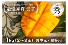 【 先行予約 2025年 発送 】コーラルファーム アップルマンゴー 1kg (2～3玉) 秀品 沖縄県産 マンゴー アーウィンマンゴー 1キロ 国産 完熟マンゴー 果物 くだもの フルーツ 完熟 夏 沖縄 お取り寄せ ギフト 産地直送 農家直送 糸満市 