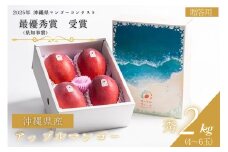 【 先行予約 2026年 発送 】コーラルファーム アップルマンゴー 2kg (4～6玉) 秀品 沖縄県産 マンゴー アーウィンマンゴー 2キロ 国産 完熟マンゴー 果物 くだもの フルーツ 完熟 夏 沖縄 お取り寄せ ギフト 産地直送 農家直送 糸満市 