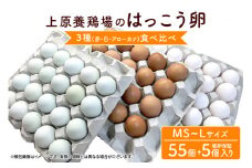 はっこう卵 3種 食べ比べ MS~L サイズ 55個 +破卵保障5個 卵 種類 サイズ おまかせ 詰め合わせ 白卵 30個 赤卵 20個 青卵 10個 アローカナ 詰合せ たまご タマゴ 食比べ 生卵 味卵 煮卵 目玉焼き ゆで卵 沖縄 産地直送 上原養鶏場 沖縄県 糸満市 
