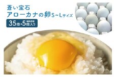 はっこう卵 アローカナ S~L サイズ 35個 +破卵保障5個 卵 サイズ おまかせ 青卵 鶏卵 たまご タマゴ 優良醗酵飼料 おいしい 生卵 味卵 煮卵 目玉焼き ゆで卵 キッシュ 朝食 沖縄 産地直送 上原養鶏場 沖縄県 糸満市 