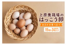 訳あり はっこう卵 3～4種 おまかせ 食べ比べ 15個 +破卵保障3個 卵 種類 サイズ お任せ 訳アリ 3種 4種 白卵 赤卵 青卵  烏骨鶏 有精卵 軍鶏 アローカナ たまご タマゴ 食比べ 生卵 味卵 目玉焼き ゆで卵 沖縄 産地直送 上原養鶏場 沖縄県 糸満市 