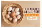 上原養鶏場のはっこう卵　3～4種おまかせ食べ比べ 15個+破卵保障3個