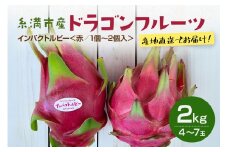 【2025年発送】ドラゴンフルーツ 赤 2kg 4～7玉 ※インパクトルビー1～2玉入り 国産 産地直送 果実 果物 くだもの フルーツ 贈り物 贈答品 お取り寄せ トロピカルフルーツ 旬 あっさり 厳選 常温 ピタヤ 火龍果 南国 沖縄産 沖縄県 糸満市 
