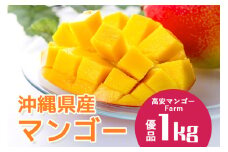 【 先行予約 2025年 発送】 沖縄県産 マンゴー 1kg ゆたか農園（高安マンゴーFarm）アップルマンゴー アーウィンマンゴー 1キロ 国産 完熟マンゴー 果物 くだもの フルーツ 完熟 夏 旬 特産品 沖縄 お取り寄せ 産地直送 農家直送 甘い 濃厚 糸満市 