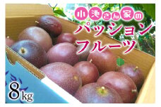 小池さん家の パッションフルーツ 約 8kg 果物 フルーツ くだもの 8キロ 沖縄 果実 南国フルーツ 沖縄県産 美味しい 甘い あまい 酸味 産地直送 農家直送 産直 大容量 沖縄県 糸満市 