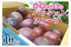 小池さん家の パッションフルーツ 約 10kg 果物 フルーツ くだもの 10キロ 沖縄 果実 南国フルーツ 沖縄県産 美味しい 甘い あまい 酸味 産地直送 農家直送 産直 大容量 沖縄県 糸満市 