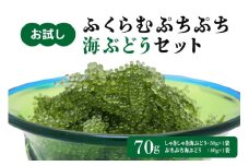 【お試し】ふくらむぷちぷち 海ぶどう セット 塩水タイプ 70g 沖縄 海ブドウ しゃきしゃき ぷちぷち 2種類 食べ比べ セット お試しセット 沖縄県グルメ 特産品 メール便 ネコポス 沖縄県 糸満市 