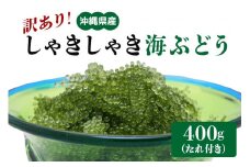 【訳あり】 しゃきしゃき海ぶどう 400g 訳アリ 沖縄県 海ぶどう 海ブドウ ウミブドウ 沖縄 大人気 特産物 お土産 健康 栄養 美容 美肌 ダイエット ミネラル マグネシウム カルシウム 鉄分 タレ付き おつまみ うみぶどう 海藻 グリーンキャビア  沖縄県 糸満市