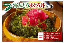 沖縄県産 海ぶどう まぐろ丼 セット しゃきしゃき海ぶどう 40g ぷちぷち海ぶどう 30g まぐろ 切り落とし ( キハダ メバチ ) 200g マグロ マグロ丼 鮪 海ブドウ 海鮮丼 海ぶどう丼 ご当地グルメ 沖縄グルメ 沖縄 特産品 お土産 沖縄県 糸満市