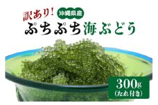 【訳あり】 ぷちぷち海ぶどう 300g 訳アリ 沖縄県 海ぶどう 海ブドウ ウミブドウ 沖縄 大人気 特産物 お土産 健康 栄養 美容 美肌 ダイエット ミネラル マグネシウム カルシウム 鉄分 タレ付き おつまみ うみぶどう 海藻 グリーンキャビア   沖縄県 糸満市