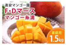【 先行予約 2025年 発送】高安マンゴー園 家庭用 F・Dマースマンゴー糸満 1.5kg (3～5玉) 沖縄県産 マンゴー アップルマンゴー アーウィンマンゴー 完熟マンゴー 果物 くだもの フルーツ 沖縄 お取り寄せ 特産品 甘い 産地直送 農家直送 糸満市 