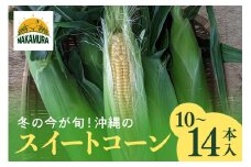 【冬の今が旬！！】沖縄のスイートコーン（10〜14本入り）