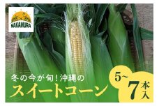 【冬の今が旬！！】沖縄のスイートコーン（5〜7本入り）