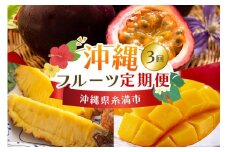 【定期便全3回】沖縄 フルーツ 定期便 3回 パッションフルーツ 沖縄産パイナップル パイン マンゴー フルーツ定期便 果物 パイナップル 沖縄マンゴー 沖縄 夏 旬 フルーツ くだもの 定期便 3か月 3カ月 沖縄県 糸満市 【 先行予約 2026年 発送 】