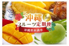 【定期便全3回】沖縄 フルーツ 定期便 3回 沖縄産パイナップル パイン マンゴー キーツマンゴー フルーツ定期便 果物 パイナップル 沖縄マンゴー 沖縄 夏 旬 フルーツ くだもの 定期便 3ヶ月 3か月 3カ月 沖縄県 糸満市 【 先行予約 2026年 発送 】
