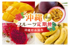 【定期便全4回】沖縄 フルーツ 定期便 4回 パッションフルーツ マンゴー ドラゴンフルーツ フルーツ定期便 沖縄バナナ バナナ 旬 フルーツ 果物 くだもの 完熟マンゴー 沖縄マンゴー 定期便 季節の果物 産地直送 沖縄県 糸満市 【 先行予約 2026年 発送 】