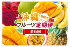 【定期便全6回】沖縄 フルーツ 定期便 6回 パッションフルーツ 沖縄産パイナップル パイン マンゴー キーツマンゴー ドラゴンフルーツ バナナ フルーツ定期便 旬 フルーツ 果物 くだもの 沖縄マンゴー 定期便 季節の果物 産地直送 沖縄県 糸満市 【 先行予約 2026年 発送 】
