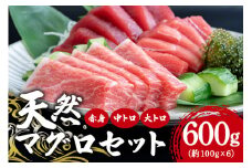 沖縄県産「旬のマグロ」をお届け！天然本マグロセット 600g