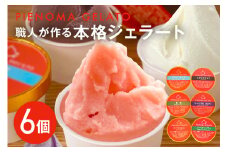 職人が作る本格ジェラート6個セット