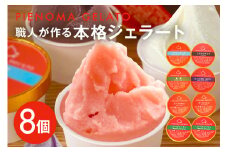 職人が作る本格ジェラート8個セット