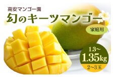 【 先行予約 2025年 発送 】高安マンゴー園 キーツマンゴー 1.3-1.35kg(家庭用) 沖縄県産  完熟マンゴー 果物 くだもの フルーツ 沖縄 お取り寄せ ギフト 産地直送 農家直送 糸満市 