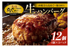 美ら島あぐー ハンバーグ 12個 セット 沖縄県 おかず 惣菜 アグー豚 使用 冷凍 4個×3パック 小分け おいしい 肉 糸満市 国産 肉汁 たっぷり ブランド豚 ジューシー 肉厚 お中元 ギフト プレゼント グルメ おつまみ ディナー オードブル 沖縄県 糸満市