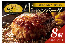 美ら島あぐー ハンバーグ 8個 セット 沖縄県 おかず 惣菜 アグー豚 使用 冷凍 4個×2パック 小分け おいしい 肉 糸満市 国産 肉汁 たっぷり ブランド豚 ジューシー 肉厚 お中元 ギフト プレゼント グルメ おつまみ ディナー オードブル 沖縄県 糸満市
