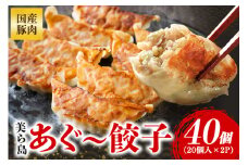 美ら島あぐー餃子 40個セット 20個入×2パック 絶品 こだわり 豚 肉 国産 ごはん おかず お弁当 冷凍 ぎょうざ ギョウザ 小分け BBQ ギョーザ 惣菜 晩酌 ギフト 手作り 生餃子 豚肉 冷凍食品 おつまみ 冷凍餃子 ブランド豚 総菜 中華 焼き餃子 沖縄県 糸満市