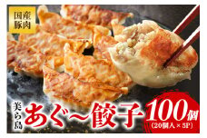 美ら島あぐー餃子 100個セット 20個入×5パック 絶品 こだわり 豚 肉 国産 ごはん おかず お弁当 冷凍 ぎょうざ ギョウザ 小分け BBQ ギョーザ 惣菜 晩酌 ギフト 手作り 生餃子 豚肉 冷凍食品 おつまみ 冷凍餃子 ブランド豚 総菜 中華 焼き餃子 沖縄県 糸満市