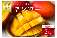 【 先行予約 2025年 発送 】 かねよしマンゴーの甘くとろける マンゴー 2kg ( 贈答用 ) 沖縄県産 アップルマンゴー アーウィンマンゴー 2キロ 国産 完熟マンゴー 果物 くだもの フルーツ 完熟 夏 旬 沖縄 産地直送 農家直送 ギフト 贈答品 糸満市 