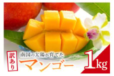 【先行予約 2026年発送】訳ありマンゴー 1kg 沖縄県産 マンゴー 訳あり 1キロ 訳アリ 国産 完熟マンゴー 果物 南国 くだもの フルーツ 完熟 夏 旬 特産品 沖縄 取り寄せ 産地直送 農家直送 甘い 濃厚 糸満市