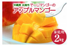 【 先行予約 2026年 発送 】 沖縄 糸満市産 でーじマンゴーの アップルマンゴー 2kg ( 家庭用 ) マンゴー アップルマンゴー アーウィンマンゴー 2キロ フルーツ 果物 完熟 わけあり 沖縄県産 国産 完熟マンゴー くだもの 産地直送 農家直送 糸満市 