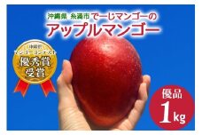 【2026年発送】【令和5年度優秀賞受賞】でーじマンゴーアップルマンゴー1kg (優品) 26-4