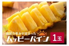 【2026年発送】ハッピーパイン1玉 沖縄県の南部では育たないと言われた幻のパイナップル パイナップル パイン フルーツ 果物 甘い 沖縄
