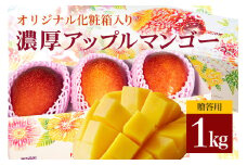 【 先行予約 2026年 発送 】 沖縄県 糸満産の「 濃厚 アップルマンゴー 」1kg オリジナル 贈答用 化粧箱入り 沖縄県産 マンゴー 完熟マンゴー 果物 くだもの フルーツ 完熟 夏 旬 沖縄 産地直送 農家直送 甘い 糸満市  (生産者 ゆいぐくるマンゴー)