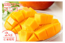【 先行予約 2026年 発送 】 農家直送 ! 太陽ファームのマンゴー 2kg ( ご家庭用 ) マンゴー 沖縄県産 マンゴー アップルマンゴー アーウィンマンゴー 完熟マンゴー 果物 南国 くだもの フルーツ 完熟 夏 旬 沖縄 お取り寄せ 産地直送 糸満市 