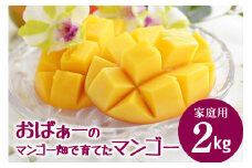 【先行予約 2026年 発送】おばぁーのマンゴー畑で育てたマンゴー 家庭用 沖縄県産 マンゴー 2kg アップルマンゴー アーウィンマンゴー 国産 完熟マンゴー 果物 南国 くだもの フルーツ 完熟 夏 旬 特産品 沖縄 お取り寄せ 名産品 甘い 濃厚 糸満市 