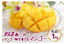 【 先行予約 2026年 発送 】 おばぁーのマンゴー畑で育てた マンゴー 1kg ( 秀品 ) 沖縄県産 アップルマンゴー アーウィンマンゴー 1キロ 国産 完熟マンゴー 果物 くだもの フルーツ 完熟 夏 旬 沖縄 お取り寄せ 産地直送 農家直送 甘い 糸満市 